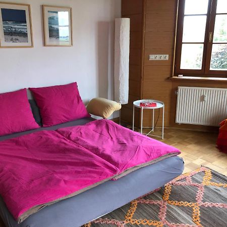 Ferienwohnung Am Donauradwanderweg Рідлінген Екстер'єр фото