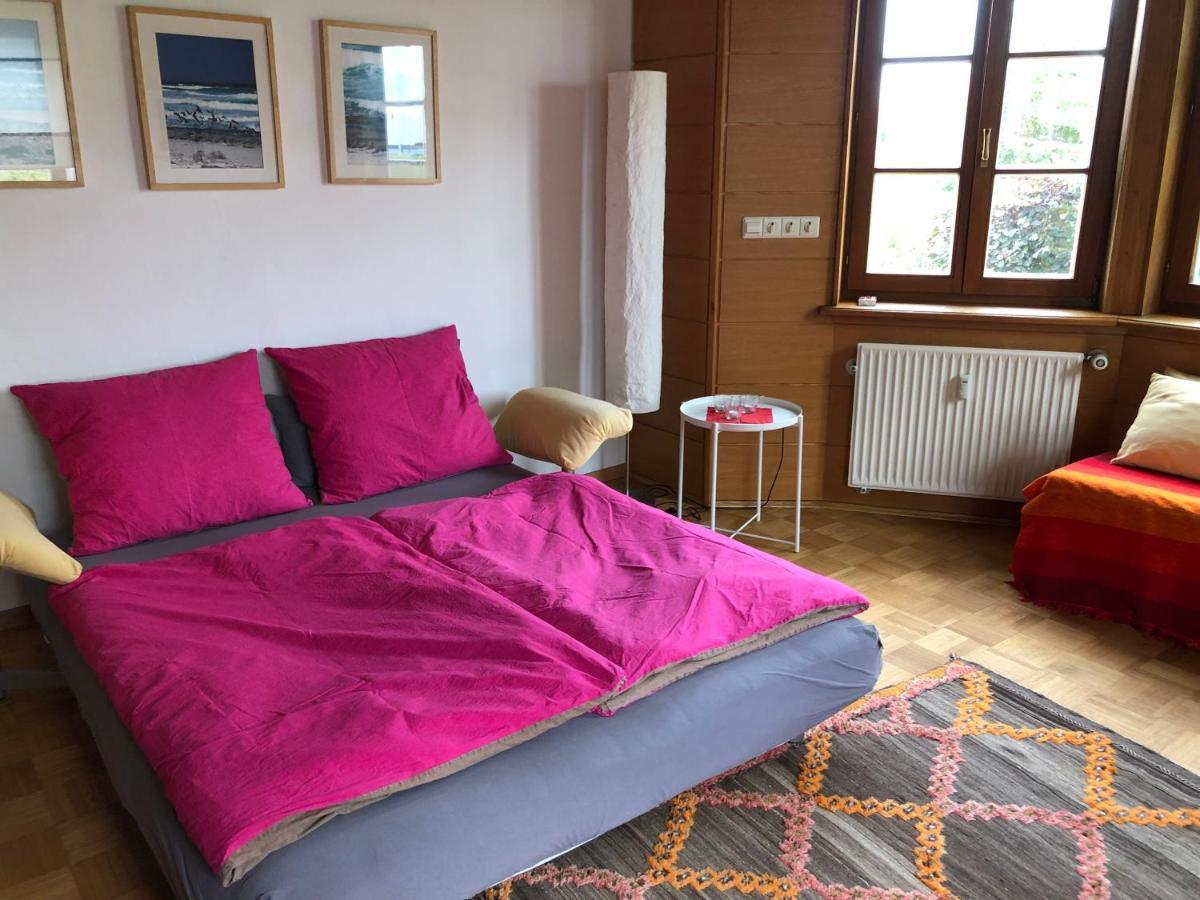 Ferienwohnung Am Donauradwanderweg Рідлінген Екстер'єр фото